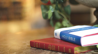 MEV BIble MEV BIble