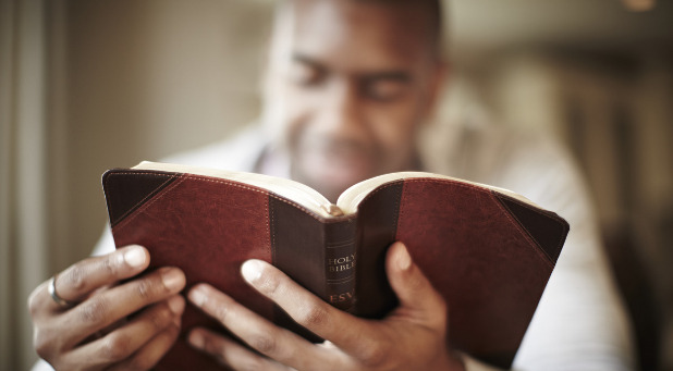 Those Tiny Vignettes We May Overlook in Scripture The BIble has a lot more interesting stories than simply the oldies but goodies.