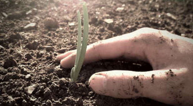 Church plant Church plant