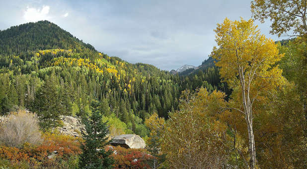 Strong Leadership Develops From Personal Wilderness Personal wilderness