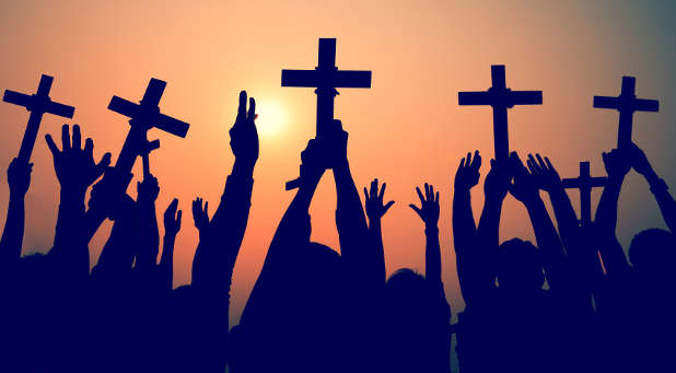 What are you doing to prepare for the harvest? What are you doing to prepare for the Harvest?