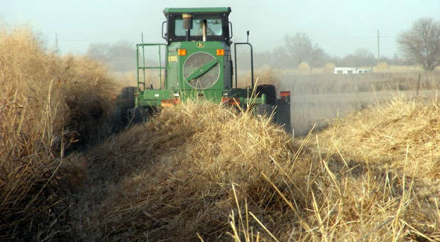 Keep sowing and reaping. Harvest