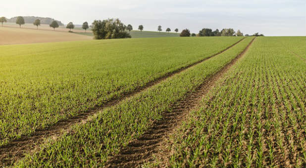 These ideas can pave a new trajectory for your church.