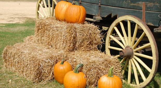 Churches across the country are hosting fall festivals this time of year.