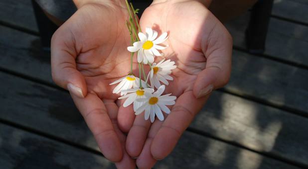 Our Lord has a heart for the poor and encourages others to do likewise.