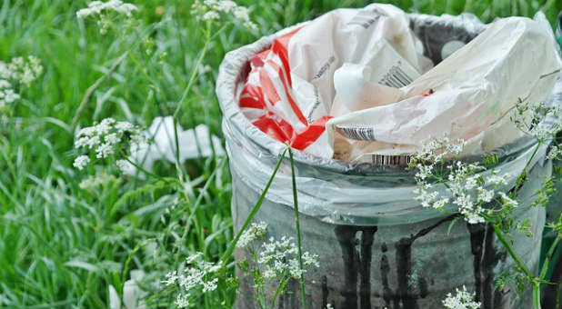 Learn when to trash a project. Learn when to trash a project.