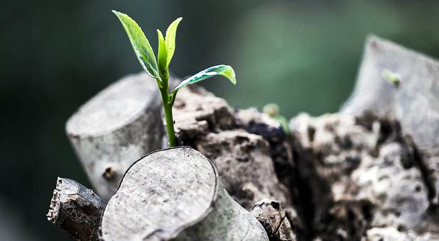 Here are some ways you can help your pastor continue to grow.