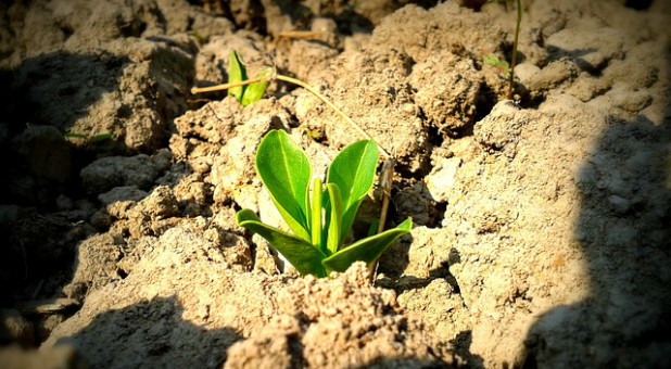 Are you growing as a leader?