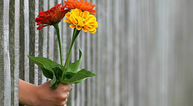 The Holy Spirit empowers us to be generous.