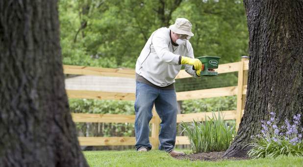 The fertilizer you use to build your organizational culture comes directly from your values.