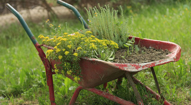 I don't know how it is possible to influence anyone in the long run without a wheelbarrow full of care and compassion. Wheelbarrow
