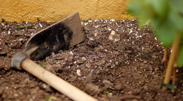 Make sure you have a vision before you start planting.