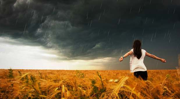 Can you find the beauty in the chaos all around you?