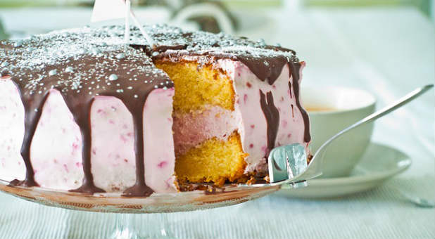 If an important ingredient is left out of a cake recipe, something may bake, but it won't be a cake.