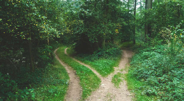 We can get lost between the fine lines and gray zones when leading.